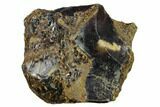 3.1" Rough Blue Indonesian Amber - West Java, Indonesia - #131300-1